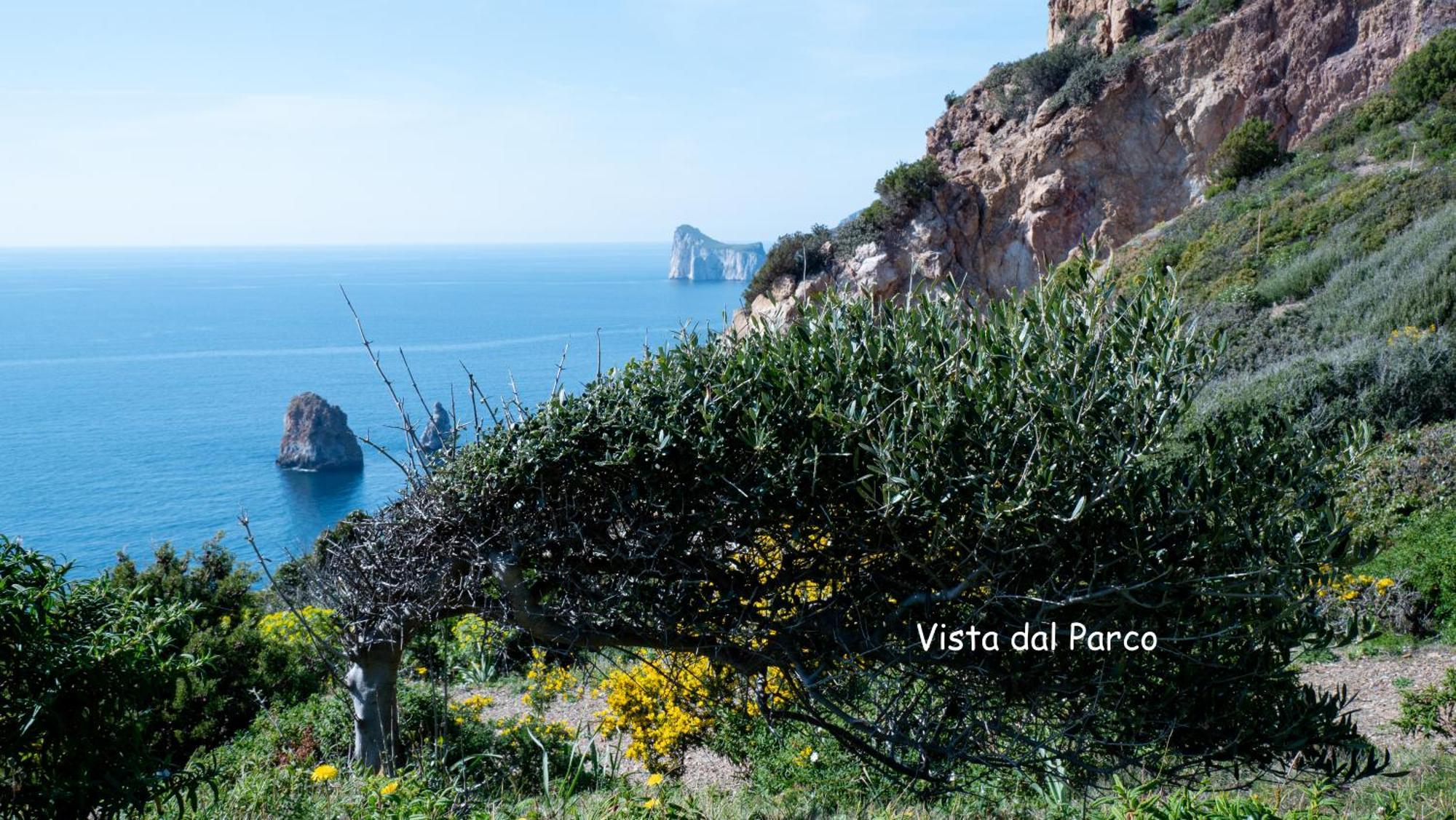 Il Tramonto Tanca Piras Villa *