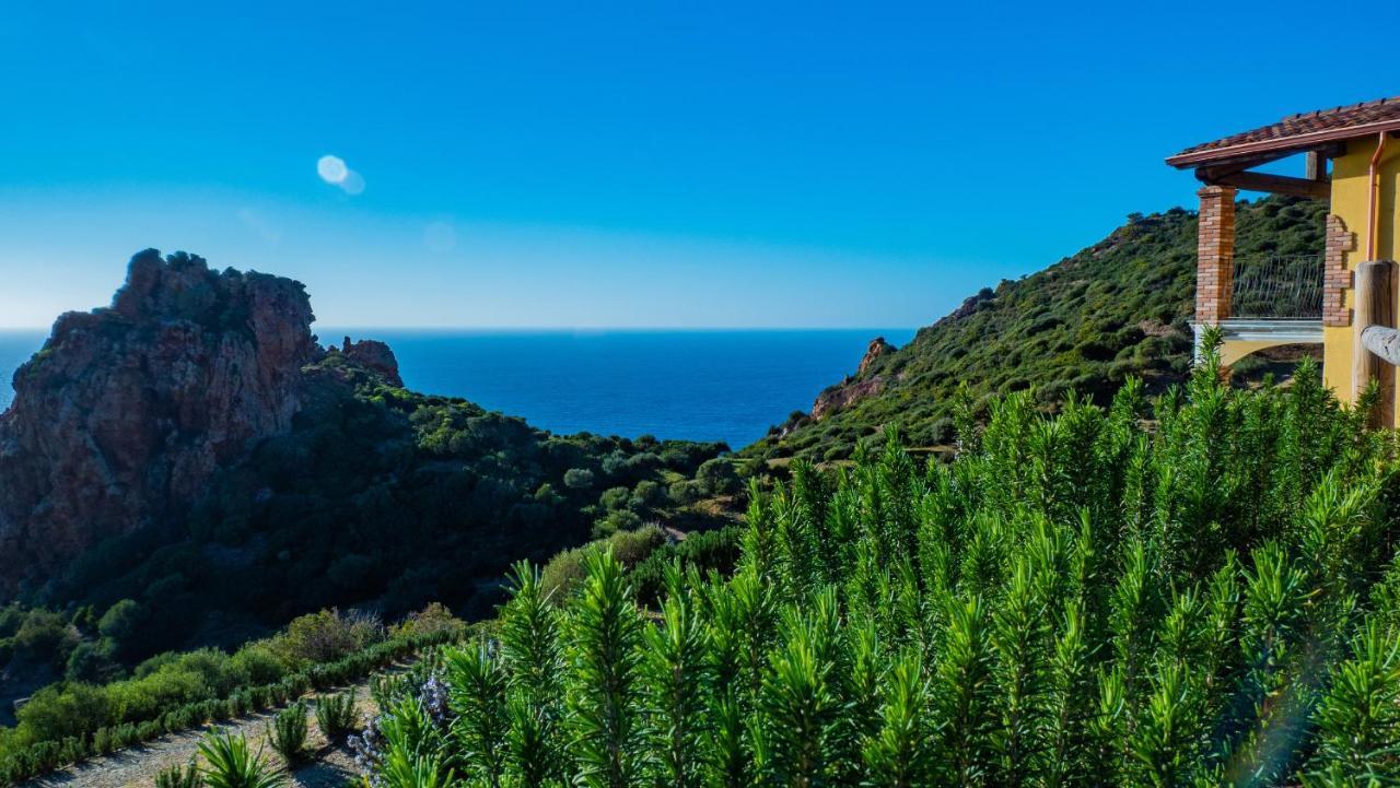 Il Tramonto Tanca Piras Villa